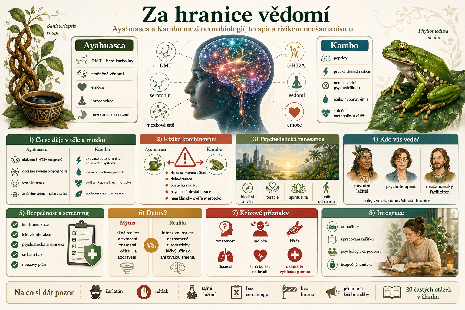 Ayahuasca a Kambo: neurobiologie, terapie a rizika rituálu